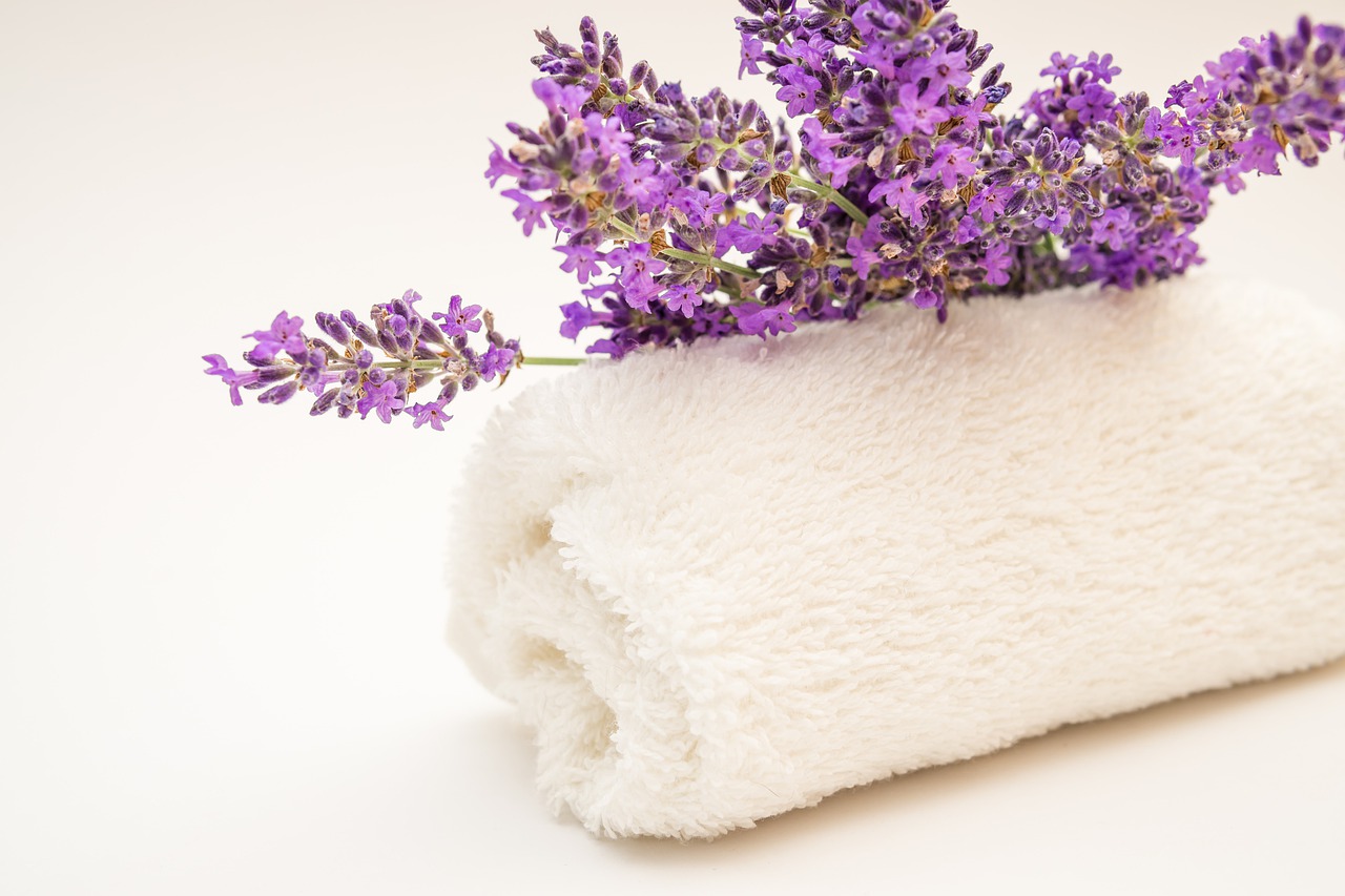 lavender, flower, plant-5348164.jpg